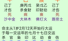 在线批八字,揭秘在线批八字背后的神秘力量