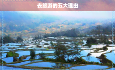 去旅游的五大理由