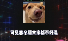 娱乐八卦吃瓜全集,揭秘明星幕后故事，吃瓜全集大揭秘