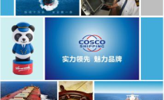 神华招标网,项目招标信息汇总与解读