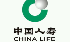 中国人寿保险官方网,守护生命，筑梦未来——官方网深度解读”