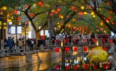 -全体土地征收积累条例中怎样法则土地征收模范的？-2025重庆市征地积累新模范是什么-被网贷告上法庭怎样办？？河北征地新2025年是多少